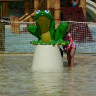 Grenouille avec jets d'eau 