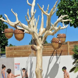 Décor aquatique d'un arbre à glands verseurs