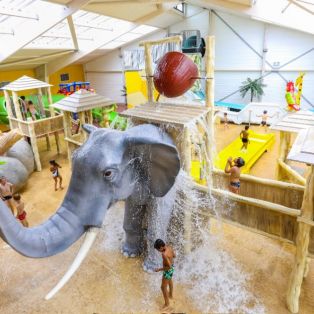 Décor aquatique sur le thème de la jungle 