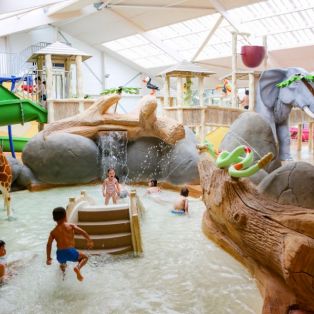 Décor aquatique sur le thème de la jungle 