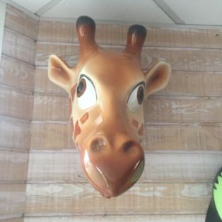 Tête de girafe